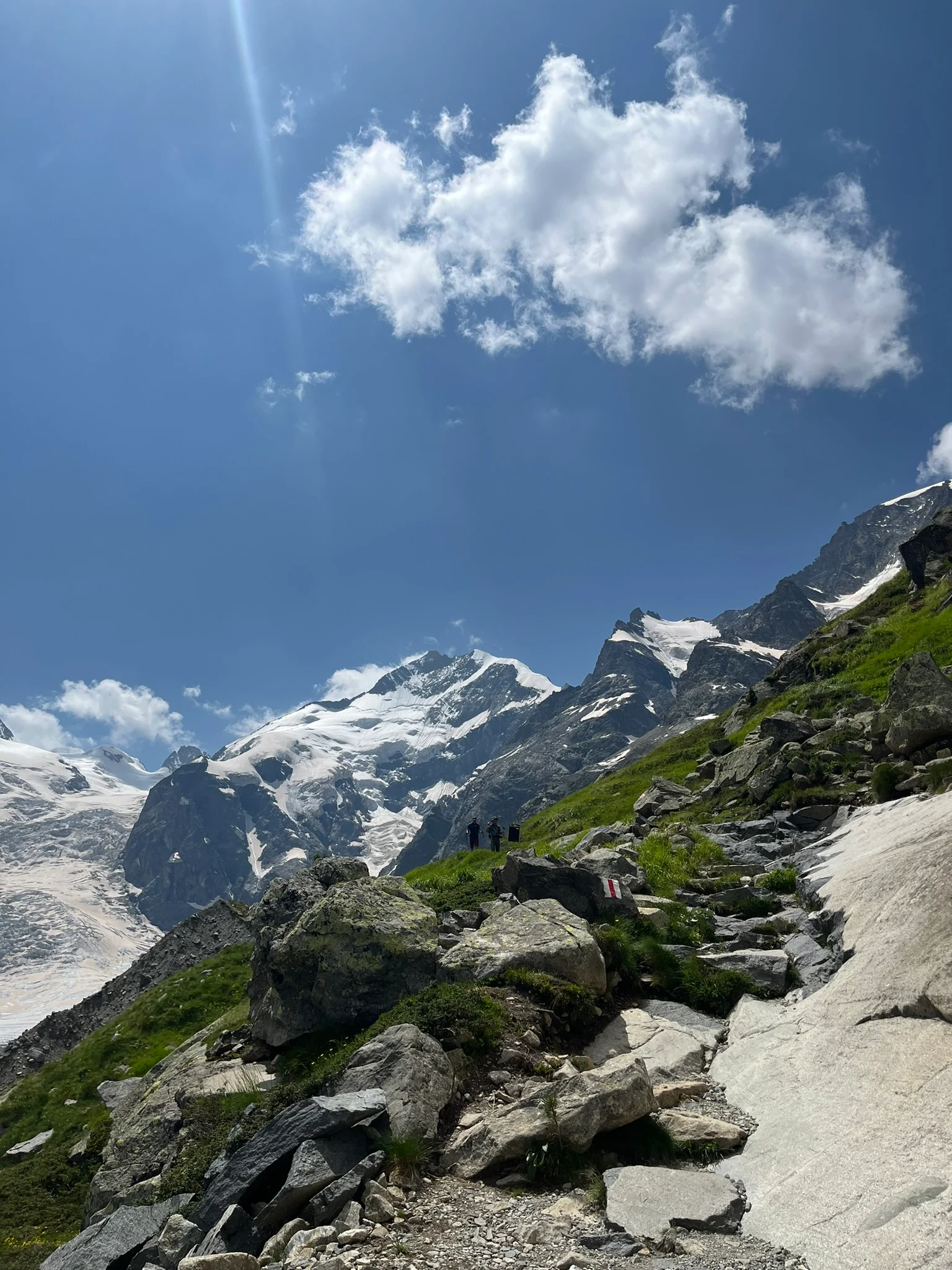 Piz Bernina
